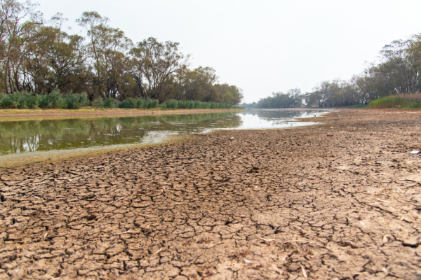 To address climate, food and water crises, Traditional Knowledges must be heard